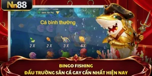 Bingo Fishing - Đấu Trường Săn Cá Gay Cấn Nhất Hiện Nay