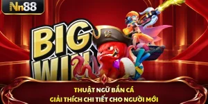 Thuật Ngữ Bắn Cá - Giải Thích Chi Tiết Cho Người Mới